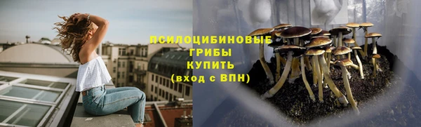 метадон Саяногорск