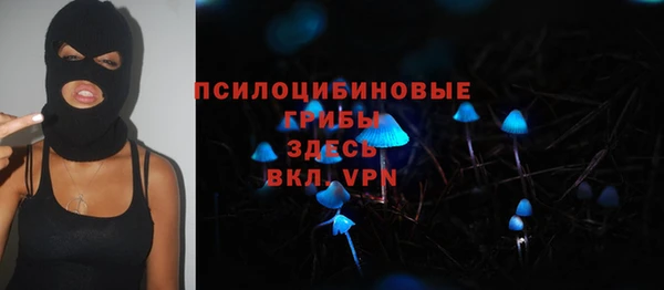 марки lsd Абаза
